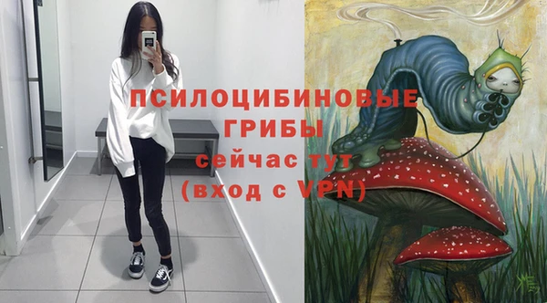 бошки Нягань