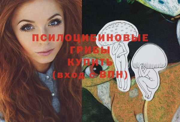 бошки Нязепетровск